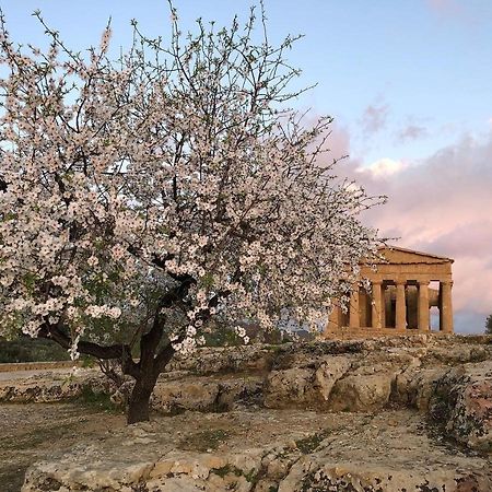 Alfa Quadro Bed and Breakfast Agrigento Esterno foto