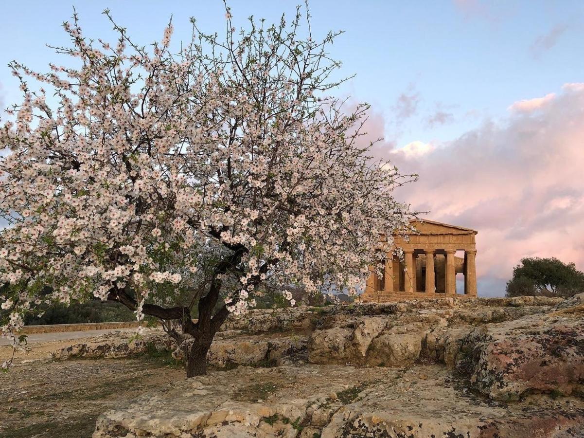 Alfa Quadro Bed and Breakfast Agrigento Esterno foto